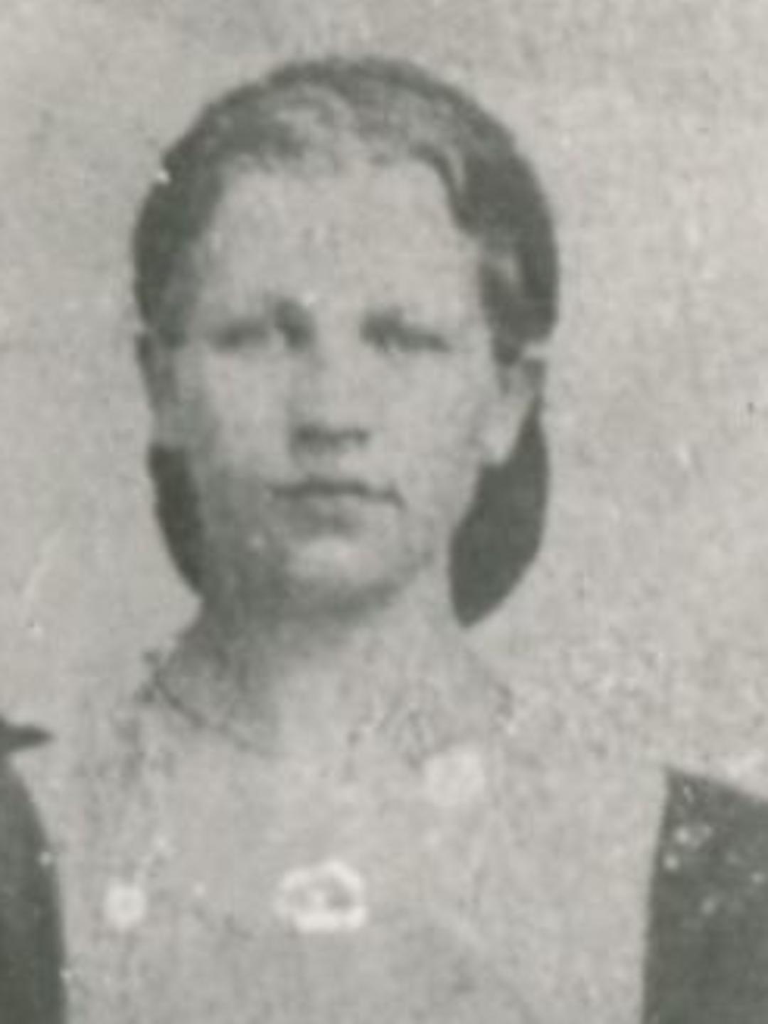 Helena Adela Larsen (1846 - 1884) Profile